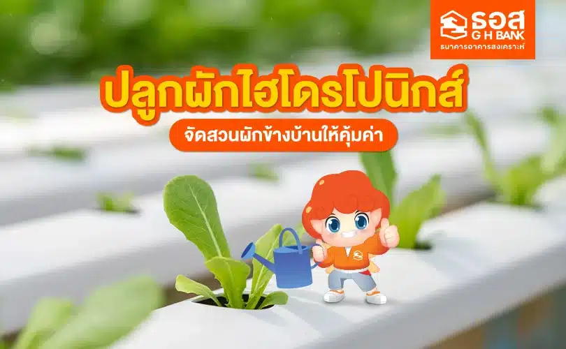 ปัจจัยสำคัญที่ทำให้หุ้นตก