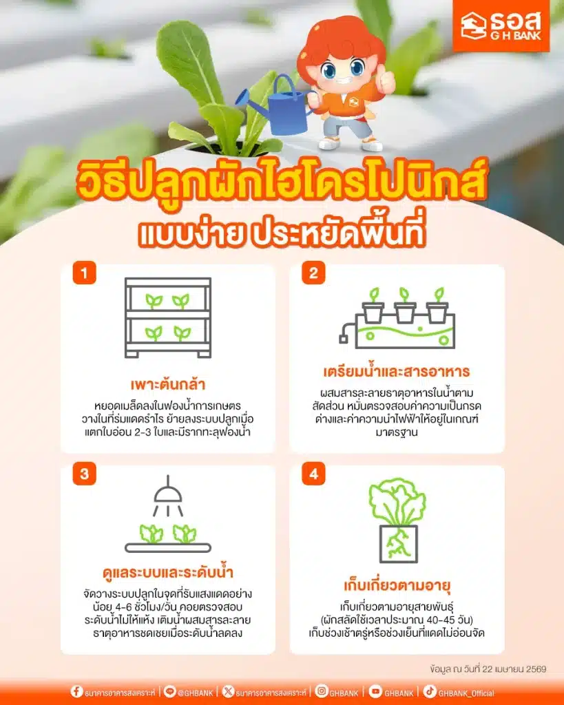 วิธีปลูกผักไฮโดรโปนิกส์